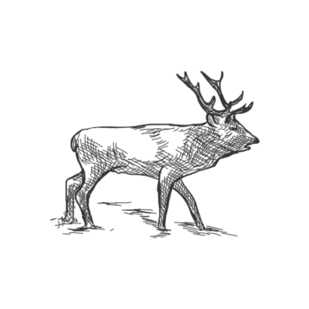 Icon Finland