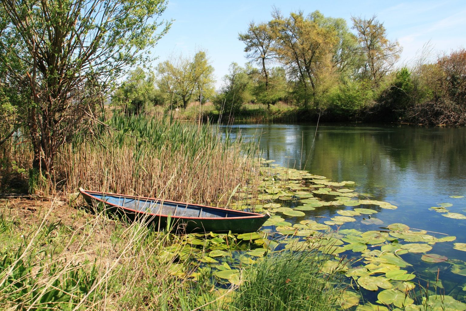 Ein Boot am Rande eines Sees. Foto: Pixabay
