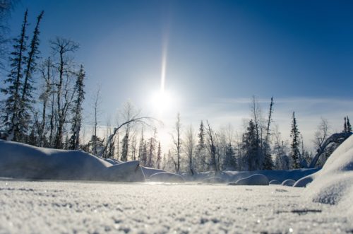 Schneebedeckter Boden vor einem Tannenwald und blauem Himmel Foto: Unsplash/Daniel Born.