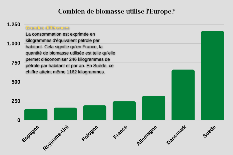 Illustration statistique: Combien de biomasse utilise l'Europe?