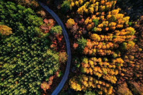 Photo aérien d'une foret